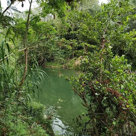 La Maison St Gervais Saint-Gervais (Gard)
